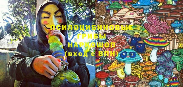 МДМА Горняк