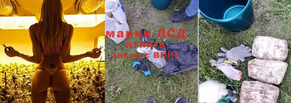 PSILOCYBIN Горно-Алтайск