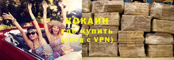 PSILOCYBIN Горно-Алтайск