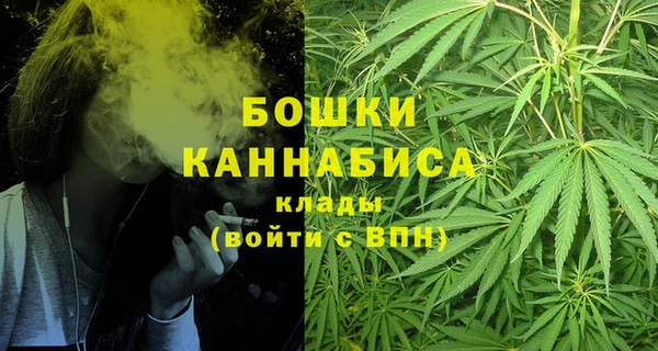 PSILOCYBIN Горно-Алтайск